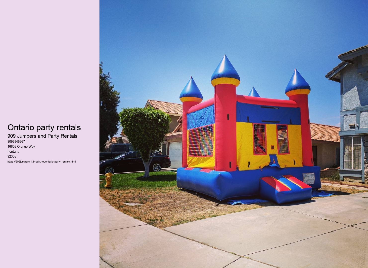 Ontario party rentals